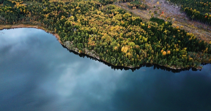 Skog och hav.